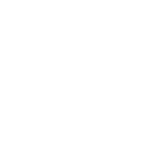 Logo HOSTWARE — Blanc sans fond